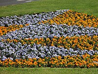 Bloom garden on the top of the hill