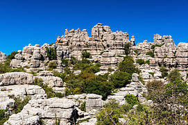 The karst area in El Torcal de Antequera, Spain appears in the visit to the Stygian witches.