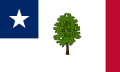 美利坚联盟国时期密西西比州州旗 (非官方, 1861–1865)