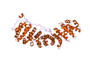 2c1m: 核孔蛋白50（NUP50）：内输蛋白a复合物