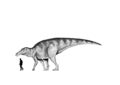 Shantungosaurus