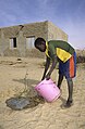 Image 26Young man waters a newly planted tree in Mali (2010) (from Agroforestry)