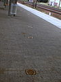 In some places horseshoes can be seen on the platform