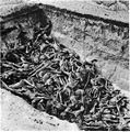 Image 1The bodies of the dead lie awaiting burial in a mass grave at the camp. (Bergen-Belsen concentration camp)