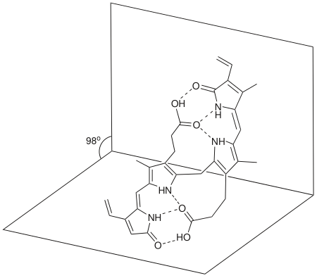 膽紅素的分子內氫鍵