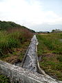 和平圳进水口与沉沙池之间的导水路