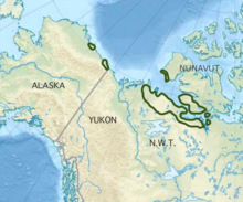 Symphyotrichum pygmaeum native distribution map: areas of Alaska, Northwest Territories, Nunavut
