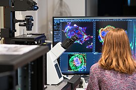 Researcher working with the Olympus IXplore SpinSR10 spinning disk confocal super-resolution microscope