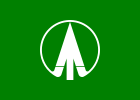 Nogi