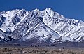 Independence Peak from Owens Valley