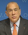 经济合作与发展组织秘书长 何塞·安赫尔·古里亚（英语：José Ángel Gurría）