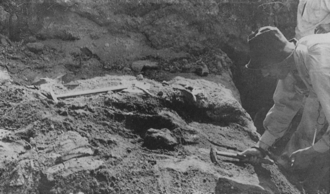 Photograph of the excavation of a skull at Ngandong