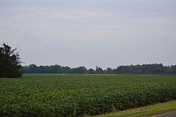 Fields southwest of Waterville