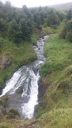 The sauðá river flowing through a forest