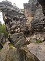 Fallen boulders in the Great Tisá Rocks