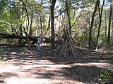 I used to think it's Prosser Pines County Park. Now, I'm starting to think it's somewhere in Westchester County.