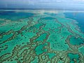 澳洲大堡礁，濒临灭绝的自然奇观。