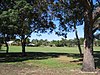 Aintree-Eglinton Reserve in western Hamersley.