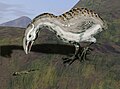 North Island adzebill (extinct)