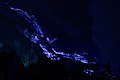 Image 92Blue lava of Ijen crater, East Java (from Tourism in Indonesia)
