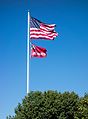 The flag of Taunton flies alongside the flag of the United States over Taunton Green