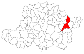 Location in Arad County