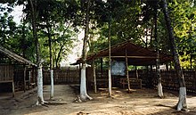 Two rooms made of bamboo, with trees in the background and foreground