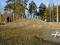 Ancient burial mound (Veien Kulturminnepark)