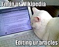 I'm editing your articles!