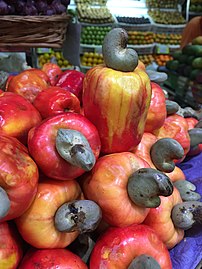 Fruits sold as produce