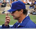 Don Mattingly