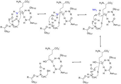 Arrow pushing mechanism for the reaction catalyzed by ATase.