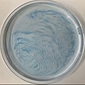 Pattern Formation from Blue Bottle Experiment in Ice Water Bath