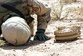 2004年5月18日：凯文叶森上士在逊尼派三角的Ad Dujayl村外的检查两个反坦克地雷的底部。
