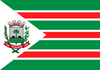 Flag of Rio das Antas