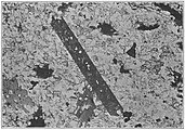 Thin section of schist. Porphyroblastic biotite, a, in a dolomitic matrix. The tourmaline, t, is epigenetic.