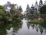 Gardens in the grounds of the Memorial Hall