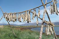 Flatpack self-assembly fish-drying rack £375, all major credit cards accepted