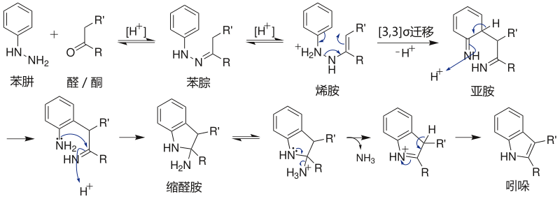 Fischer吲哚合成 機理