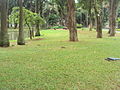 Palace grounds