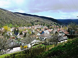 A general view of Lautenbach