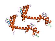 1up5: CHICKEN CALMODULIN