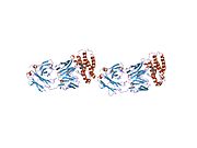 1v7m: Human Thrombopoietin Functional Domain Complexed To Neutralizing Antibody TN1 Fab
