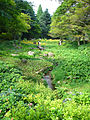 Rokkō Alpine Botanical Garden
