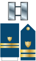 The captain collar device here is correctly rendered in a vertical position