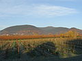 The Kalmit Massif seen from Maikammer with the Breitenberg, Kalmit, Kanzel and Wetterkreuzberg