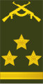 Angola (coronel)