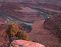 The Colorado River from Dead Horse Point State Park