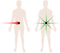 Duncker’s Radiation Problem