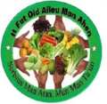 Logo of Aileu